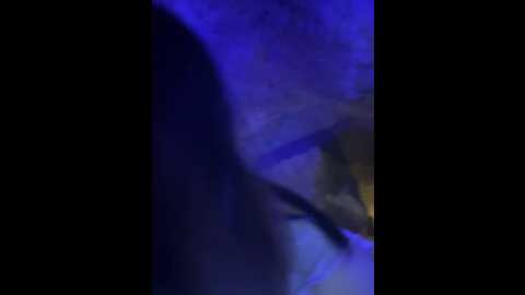 xixi_gala @ stripchat on 20241108