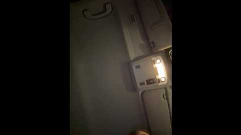 isabellaetthan @ stripchat on 20241110