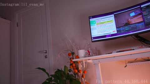 lilevame @ stripchat on 20241110
