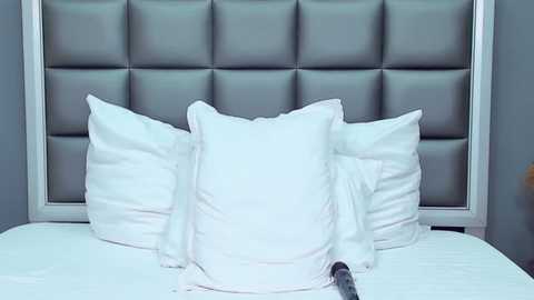 rachel_quinn_ @ stripchat on 20241111