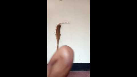 cute_pria @ stripchat on 20241112