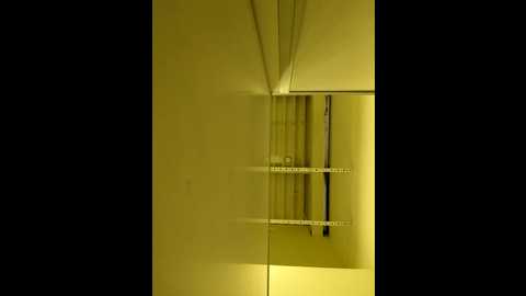 morphine_666 @ stripchat on 20241113