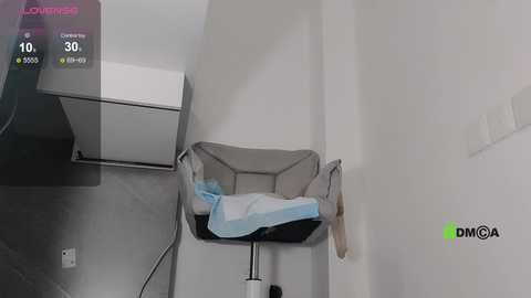 qianf_666 @ stripchat on 20241113
