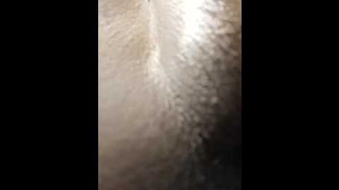 sonubaby154 @ stripchat on 20241113