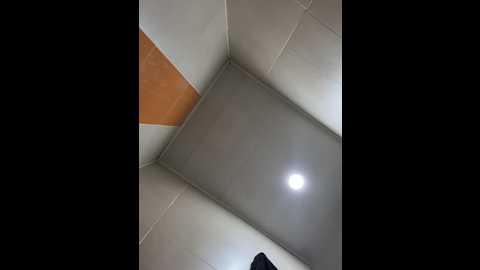 sam_sara @ stripchat on 20241114