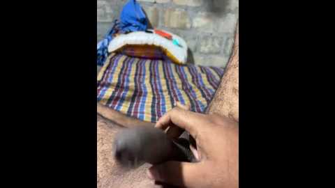 tamil_coupless @ stripchat on 20241115