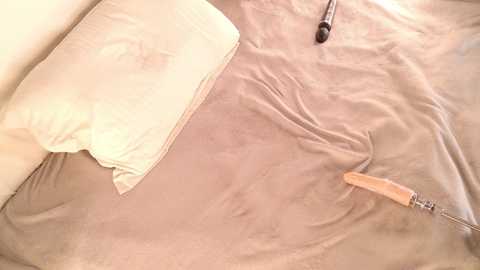 violett_queenn @ stripchat on 20241116