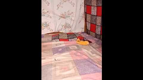 monaasonaa @ stripchat on 20241117