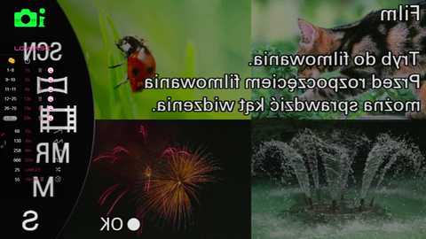 aislyembury @ stripchat on 20241118