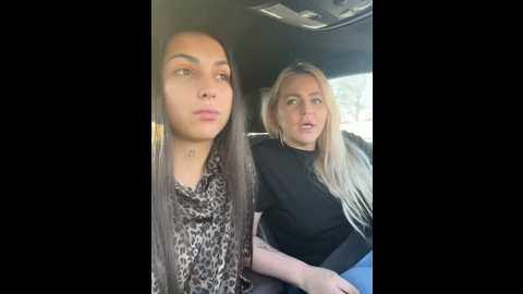keep_us_wild @ stripchat on 20241118