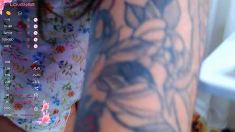 mia_palmerr @ stripchat on 20241118