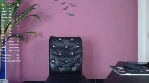 lana_rid @ stripchat on 20241119