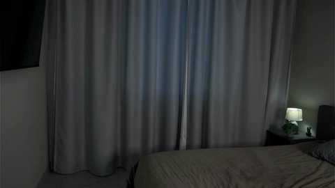 aftonconnett @ stripchat on 20241120