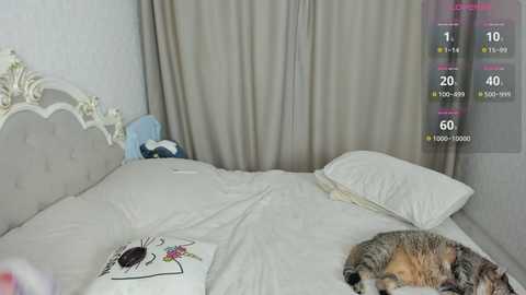 agentblond @ stripchat on 20241120