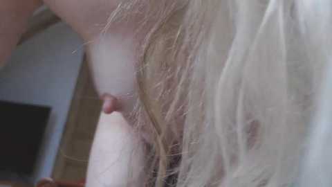 carlaaa @ stripchat on 20241120