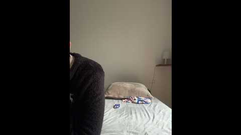 couplepenetration @ stripchat on 20241120