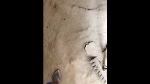 indiankanak @ stripchat on 20241120