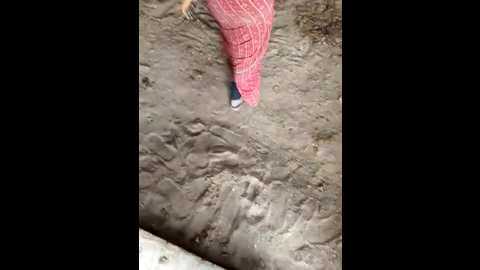 indiankanak @ stripchat on 20241121