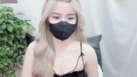 mya_lee @ stripchat on 20241122
