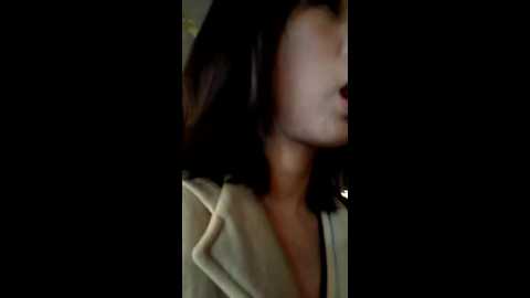 chestnut023 @ stripchat on 20241123