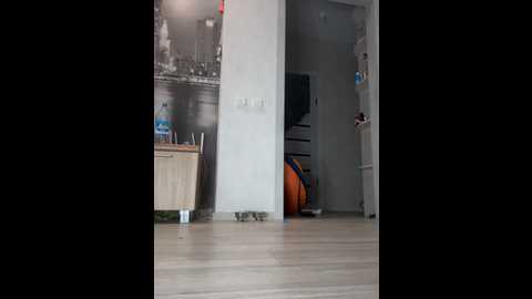 jasmina0001