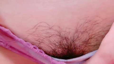 maataaan @ stripchat on 20241123