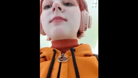 noka_foxy