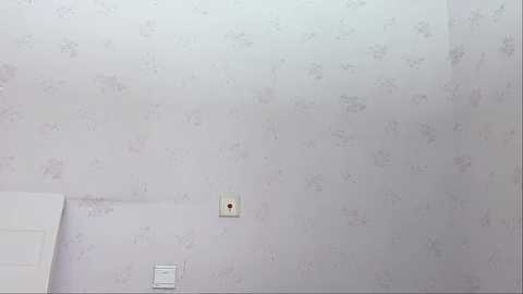 qiqi__ @ stripchat on 20241123