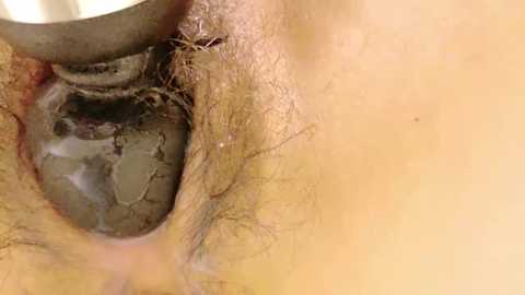 yukina_xoxo @ stripchat on 20241125