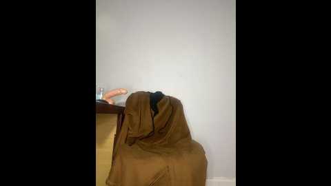 incognitobdy @ stripchat on 20241126