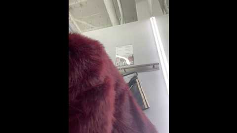 lexy__foxy @ stripchat on 20241126