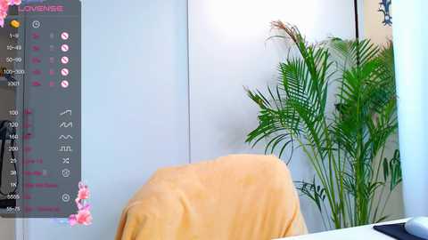 mia_palmerr @ stripchat on 20241127