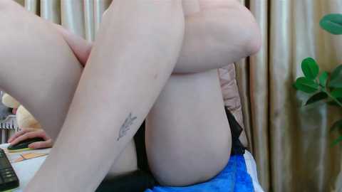 miyeon_99999 @ stripchat on 20241127