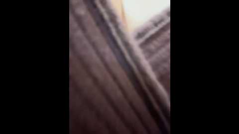 sara_fun @ stripchat on 20241127