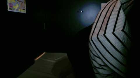 sayaka_xo @ stripchat on 20241127