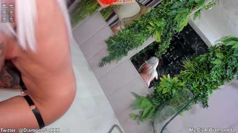 diamondjo_ @ stripchat on 20241129