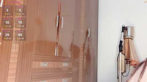 krismil3 @ stripchat on 20241129