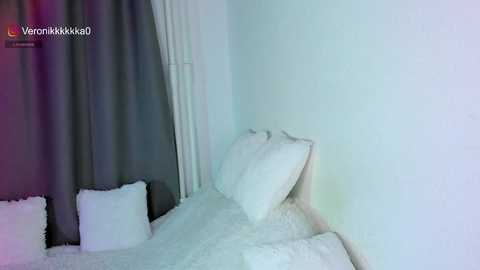 veronikkkkka @ stripchat on 20241130