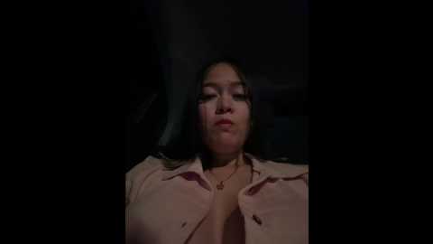 danielavegax @ stripchat on 20241201