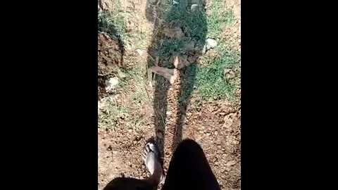 indiankanak @ stripchat on 20241201