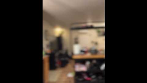 ladylena1 @ stripchat on 20241201