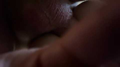 bimbir @ stripchat on 20241202