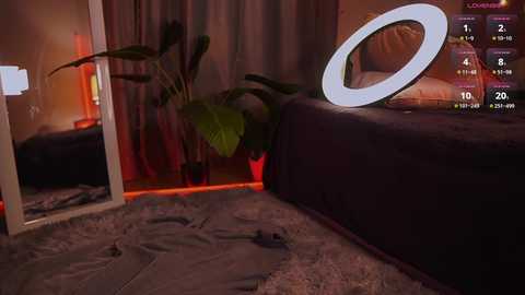 lolastifler @ stripchat on 20241202