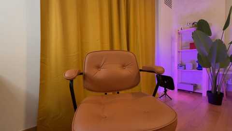 _vixenp @ stripchat on 20241203