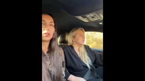 keep_us_wild @ stripchat on 20241203