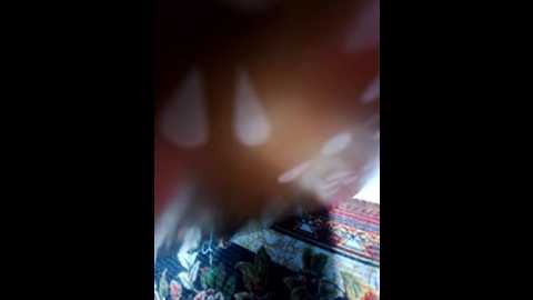 katherine_99