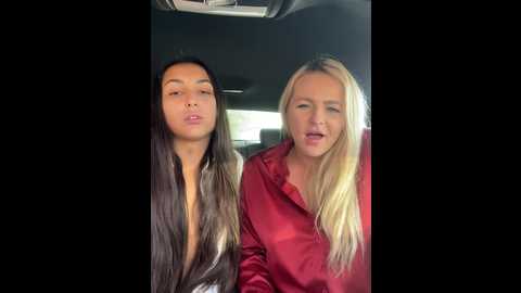 keep_us_wild @ stripchat on 20241204