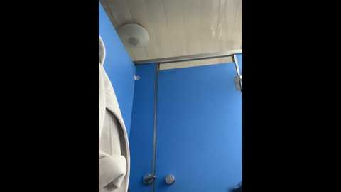 xixi_gala @ stripchat on 20241204