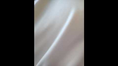 baby_niels @ stripchat on 20241205