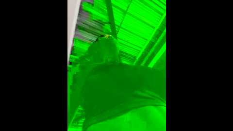 danielavegax @ stripchat on 20241205